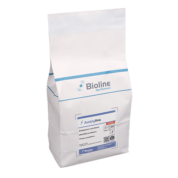 Amblyline - 100,000 / 5 lt r (bran only) - Biological Control